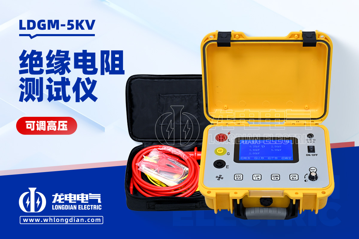 LDGM-5KV 绝缘电阻测试仪